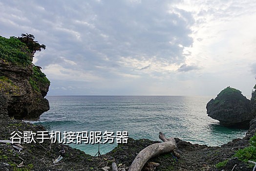 美团自助接码网站在哪里