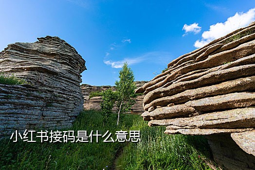 美团新卡接码