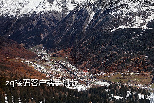 美国接码支付宝什么意思