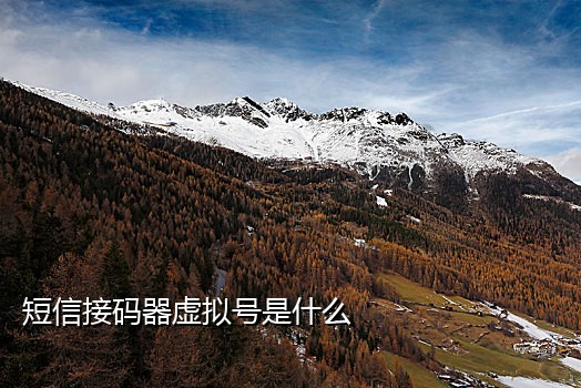 美国抖音老号接码