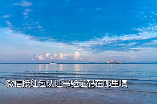 蚂蚁接码app下载苹果