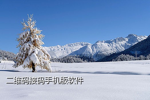 临时手机号接码软件