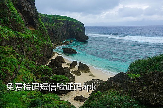 快手全新卡 接码