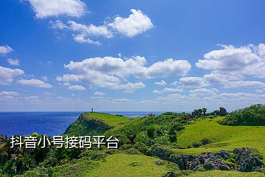 五码接码app下载官网苹果