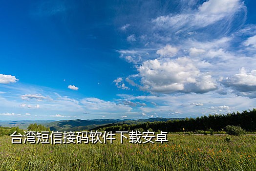 可以接淘宝验证码app