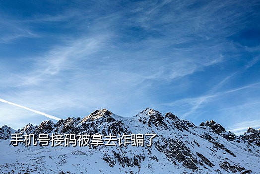 吾爱破解短信接码