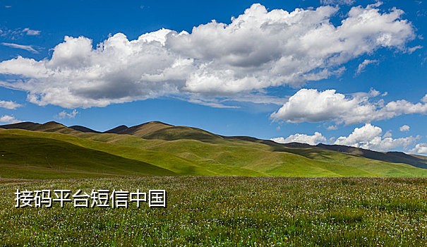 无效手机号怎么接验证码