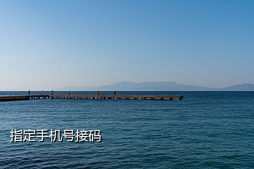 接验证码虚拟电话怎么打