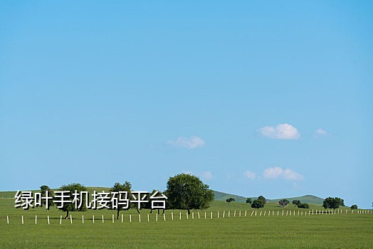 接码专用手机号