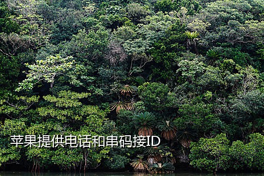 接码注册淘宝