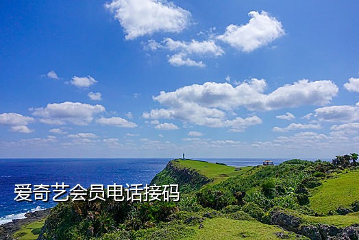 接码微信的平台