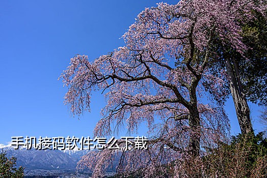 为什么qq视频接不到验证码