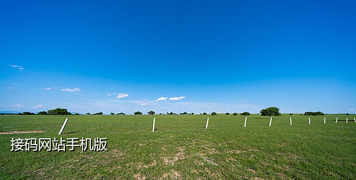 接码探探是什么