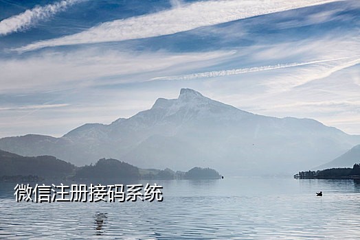 接码平台验证手机号