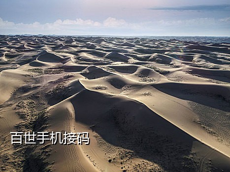 接码平台手机下载