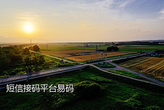 接码平台手机号能用多久呢安全