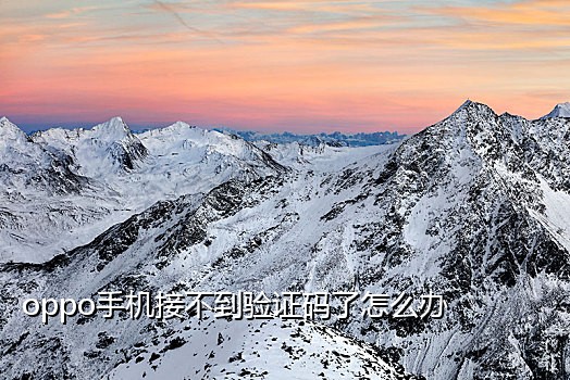 接码平台收一条短信多少钱