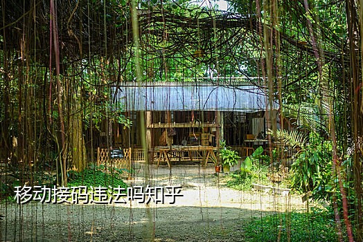 接码平台能注册支付宝吗