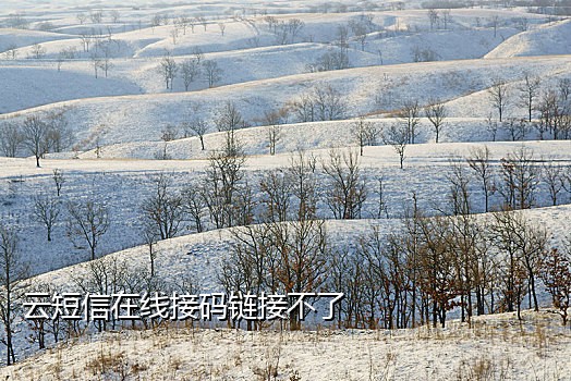 接码平台抖音验证码
