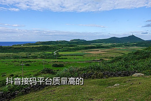 接码平台百度账号