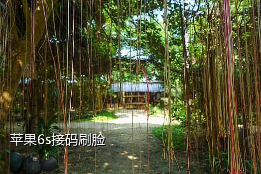 接码号抖音快手号码违法么