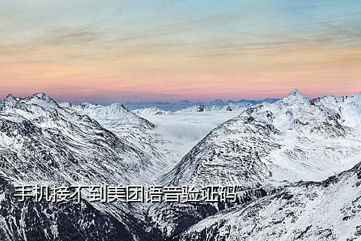 接码短信验证码犯罪