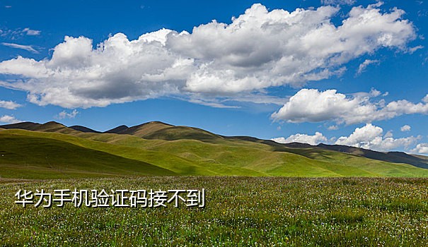 接码短信平台下载
