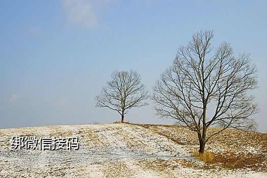 换新手机卡接不到验证码