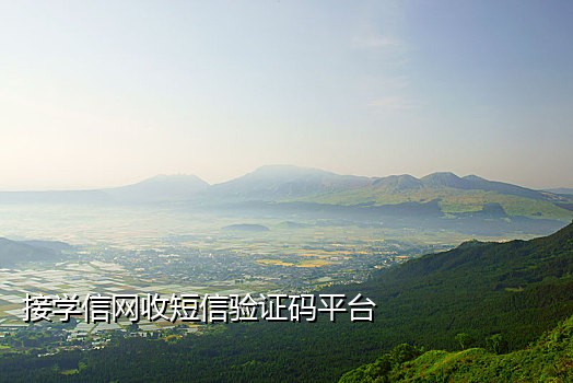 国内手机号免费接码软件有哪些