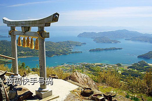 国内手机短信接码