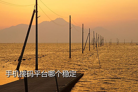 共享手机号接码