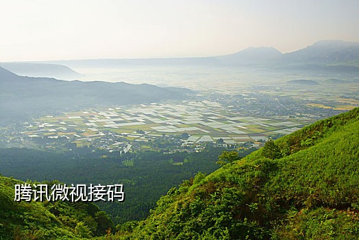 付费接码短信验证码平台是什么