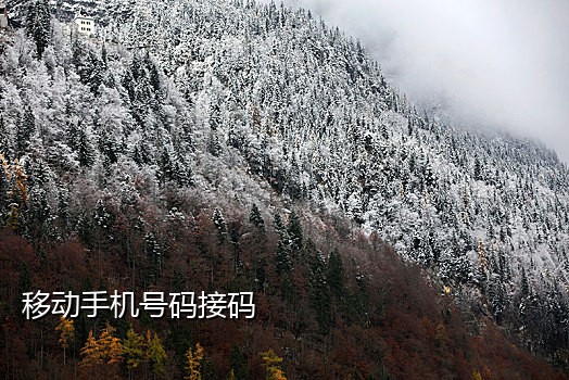 饿了么拉新接码平台