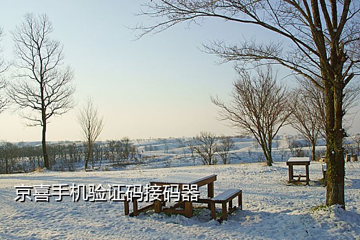 短信接码验证码平台免费