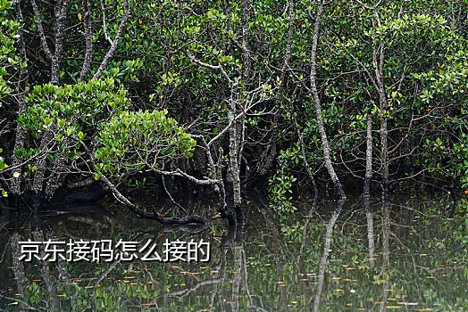 短信接码取号软件