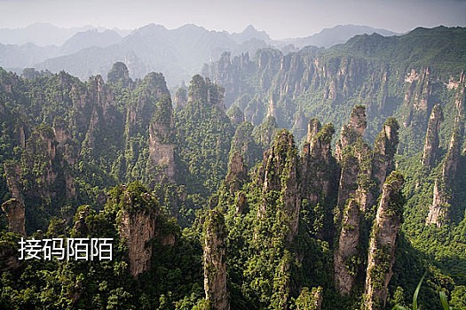短信接码平台最新