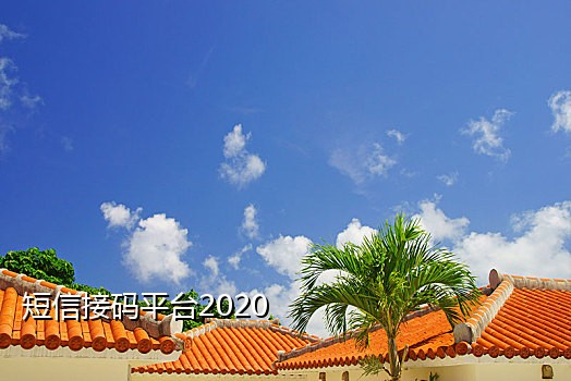 短信接码平台是什么样的