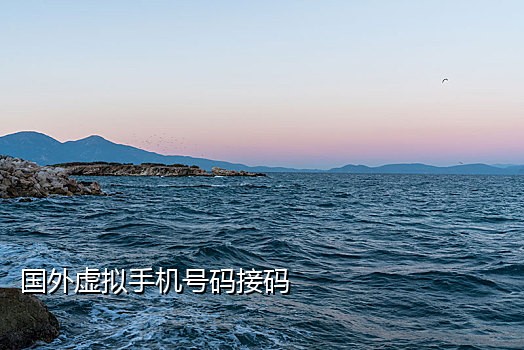 短信接码汇总怎么设置