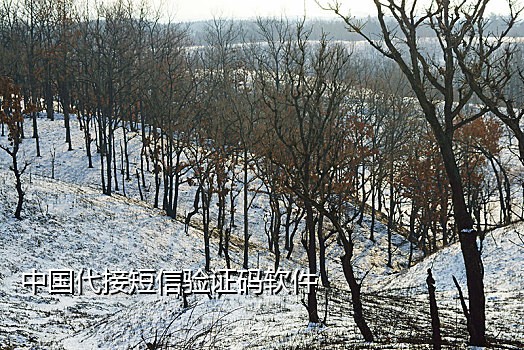 抖音实体卡接码