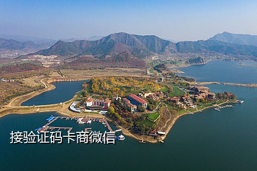 抖音接码api平台