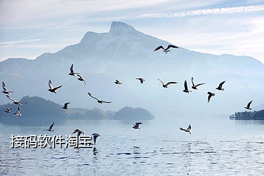 钉钉接码是什么