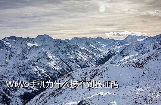 代接短信验证码软件免费使用