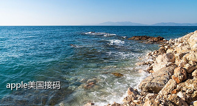 菠萝短信接码平台