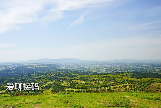 蝙蝠注册接码平台
