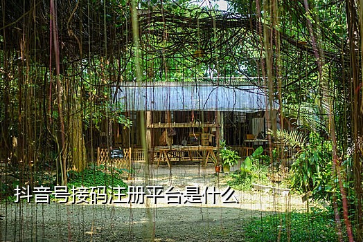 八戒接码下载手机