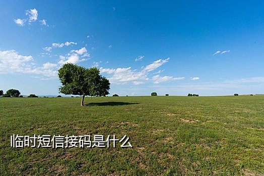 QQ接验证码怎么看
