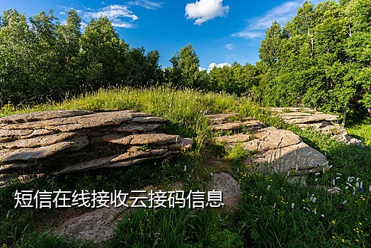 做京东接码缓刑的案例