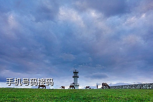 最便宜的手机接码平台