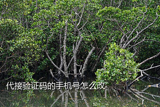 注册微信接验证码