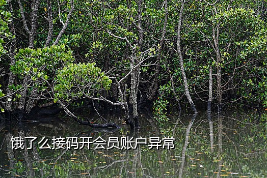 注册快手账号接码网站
